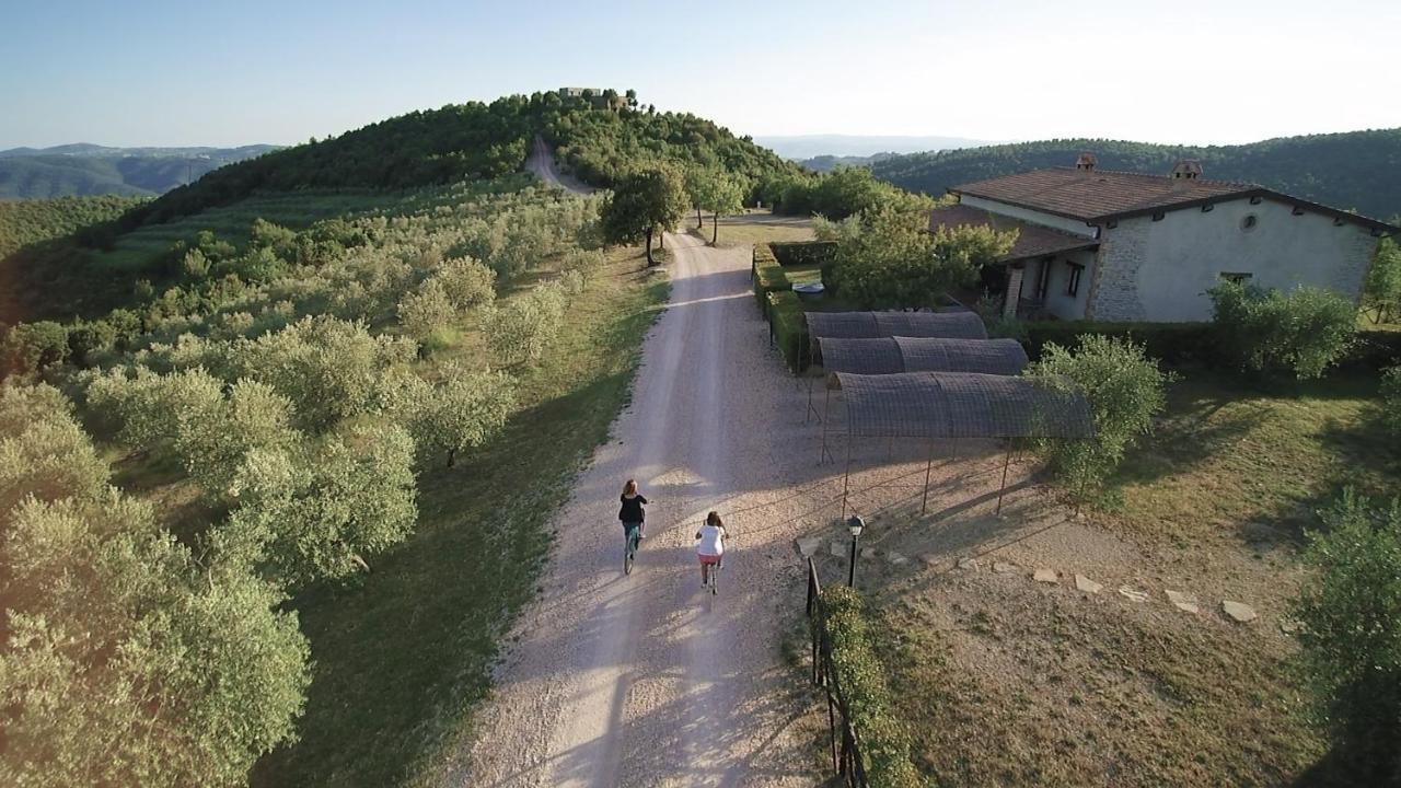 Tenuta Di Sorgnano