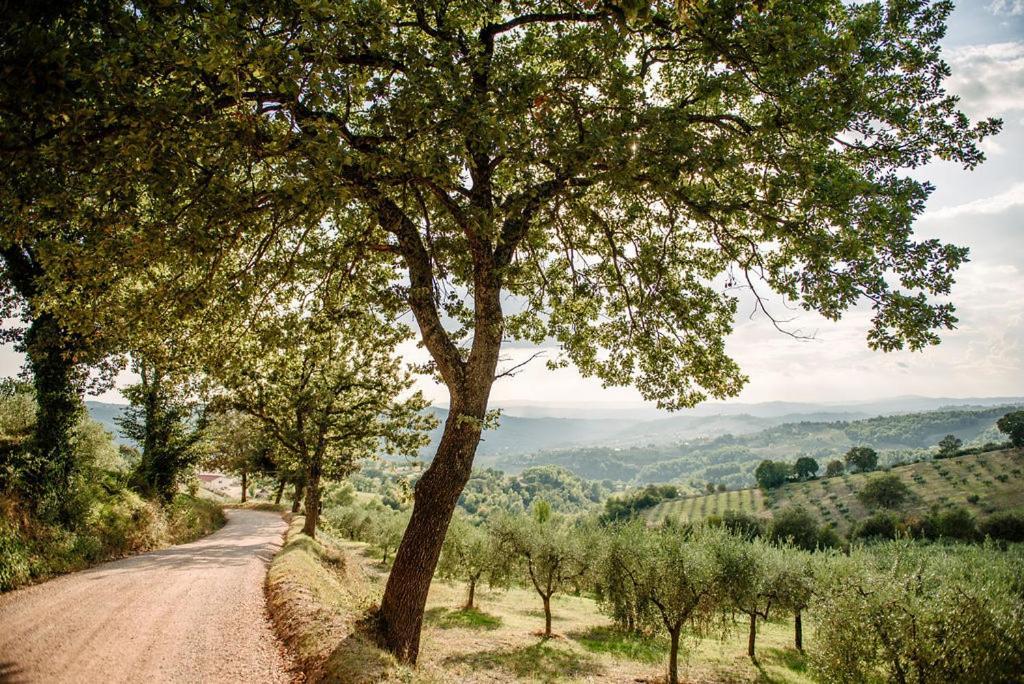 Tenuta Di Sorgnano Vakantieboerderij