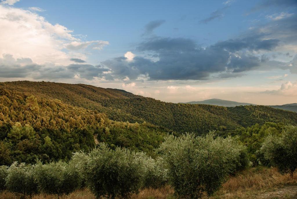 Tenuta Di Sorgnano Gualdo Cattaneo