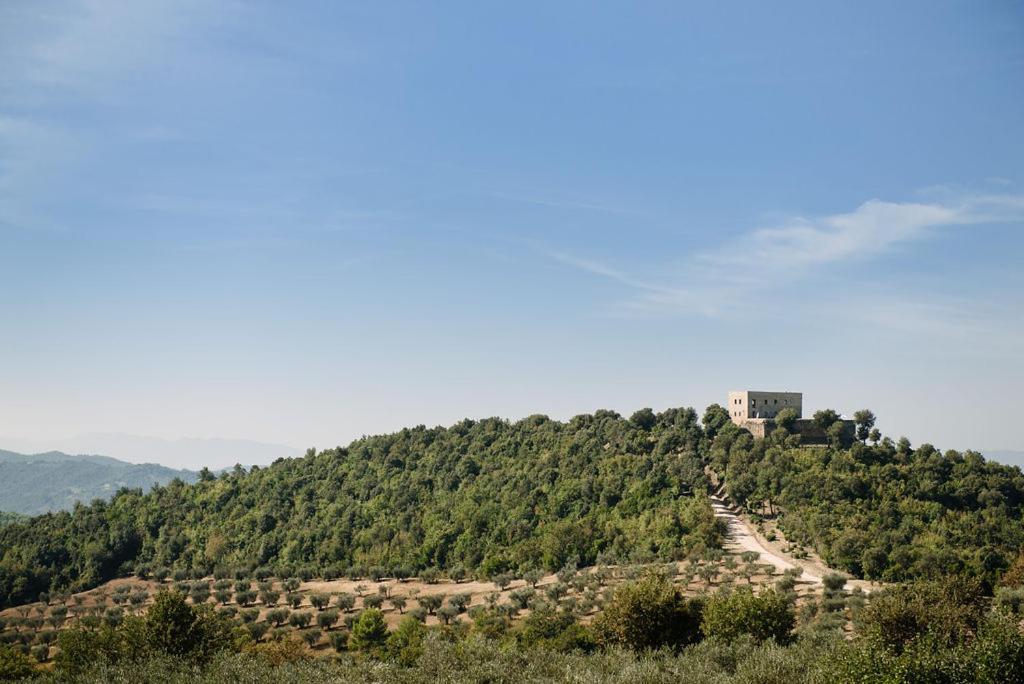 Tenuta Di Sorgnano *