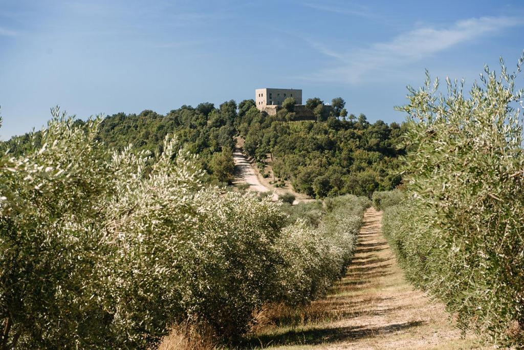 Vakantieboerderij Tenuta Di Sorgnano Gualdo Cattaneo