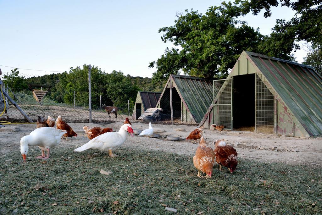 Tenuta Di Sorgnano Vakantieboerderij Gualdo Cattaneo