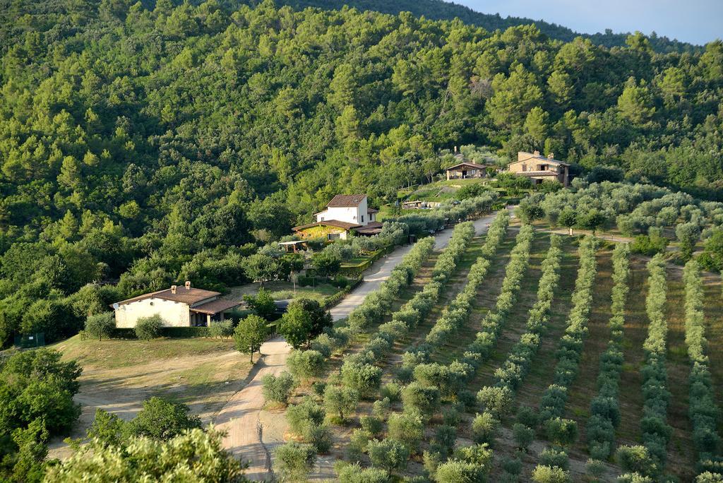 Tenuta Di Sorgnano * Gualdo Cattaneo